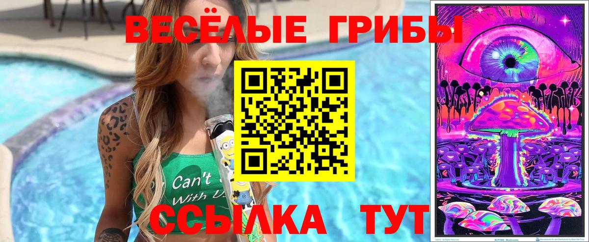 Псилоцибиновые грибы Cubensis  Вход с VPN  продажа наркотиков  Галлюциногенные грибы GOLDEN TEACHER  Липецк 